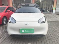 Wuling Binguo 333km Joy Edition - ფოტო 3
