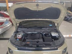 Geely Cowboy 2025 1.5TD Fun Wilderness Edition - ფოტო 20