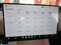 Xiaomi YU7 2025 Rear-Wheel Drive Long-Range Edition - ფოტო 12