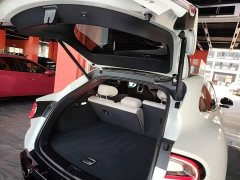 Xiaomi YU7 2025 Rear-Wheel Drive Long-Range Edition - ფოტო 19