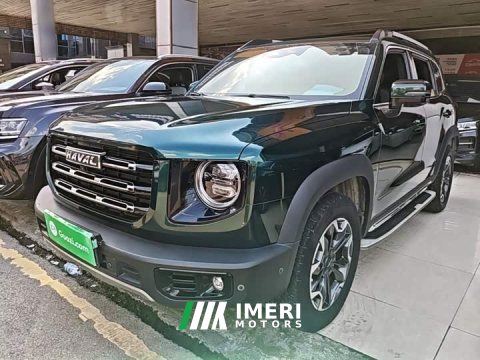2021 Great Wall Dachshund 2.0T DCT Four-wheel Drive Howling Heavenly Dog Edition - ავტომობილი ჩინეთიდან