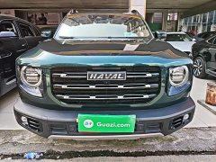 Great Wall Dachshund 2.0T DCT Four-wheel Drive Howling Heavenly Dog Edition - ფოტო 3