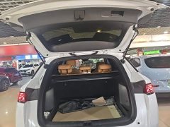 BYD Song L DM-i 112km Leading Edition - ფოტო 19