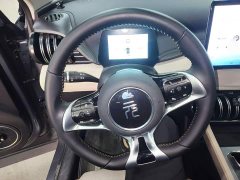 BYD Yuan Plus Glory Edition 430KM Leading - ფოტო 11