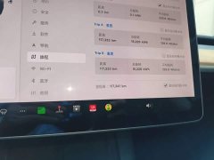 Tesla Model 3 Standard Range RWD Upgrade 3D6 - ფოტო 12