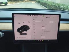 Tesla Model 3 Standard Range RWD Upgrade 3D6 - ფოტო 13