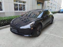 Tesla Model 3 Standard Range RWD Upgrade 3D6 - ფოტო 2