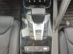 BYD Song Pro 1.5T Automatic Luxury - ფოტო 14