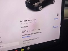 Tesla Model Y Standard Range RWD - ფოტო 12