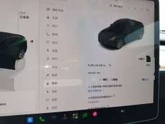 Tesla Model Y Rear-Wheel Drive - ფოტო 12