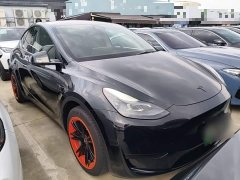 Tesla Model Y Rear-Wheel Drive - ფოტო 4