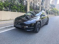 Tesla Model Y Standard Range RWD - ფოტო 1