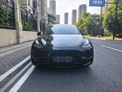Tesla Model Y Standard Range RWD - ფოტო 2