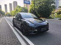Tesla Model Y Standard Range RWD - ფოტო 3