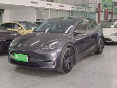 Tesla Model Y Rear-Wheel Drive - ფოტო 2