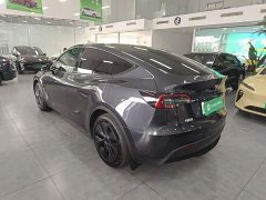 Tesla Model Y Rear-Wheel Drive - ფოტო 5