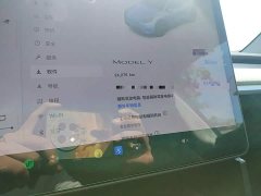 Tesla Model Y Rear-Wheel Drive - ფოტო 12