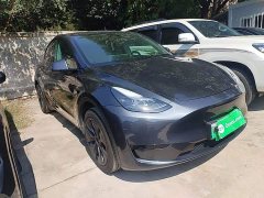 Tesla Model Y Rear-Wheel Drive - ფოტო 4