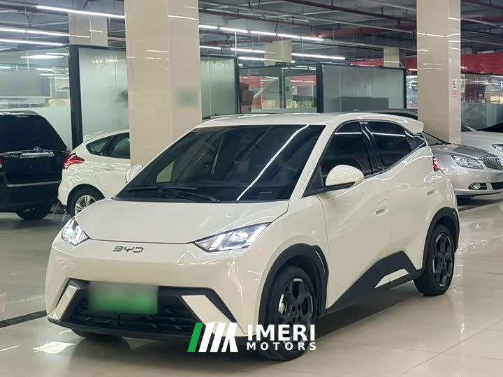 BYD Seagull Glory Edition 305km Freedom Version - ავტომობილი ჩინეთიდან