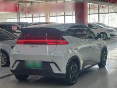 BYD Seagull Glory Edition 305km Freedom Version - ფოტო 10