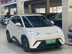BYD Seagull Glory Edition 305km Freedom Version - ფოტო 11