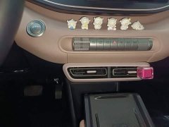 BYD Seagull Glory Edition 305km Freedom Version - ფოტო 12