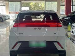 BYD Seagull Glory Edition 305km Freedom Version - ფოტო 16