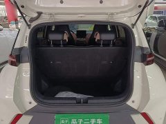 BYD Seagull Glory Edition 305km Freedom Version - ფოტო 18