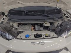 BYD Seagull Glory Edition 305km Freedom Version - ფოტო 19