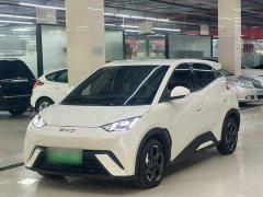 BYD Seagull Glory Edition 305km Freedom Version - ფოტო 2