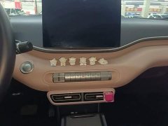 BYD Seagull Glory Edition 305km Freedom Version - ფოტო 9