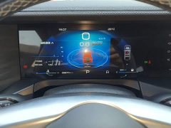 Tank 300 2.0T Challenger - ფოტო 12