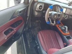 Tank 300 2.0T Challenger - ფოტო 16