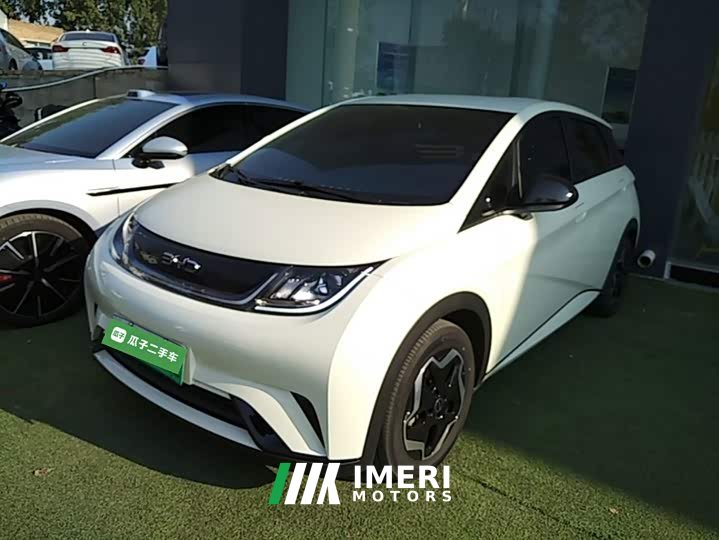 BYD Dolphin 420km Vitality Edition - ავტომობილი ჩინეთიდან