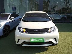 BYD Dolphin 420km Vitality Edition - ფოტო 3