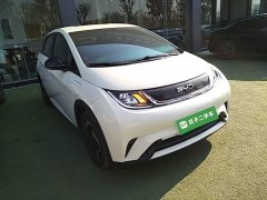 BYD Dolphin 420km Vitality Edition - ფოტო 4