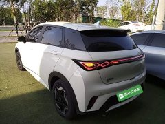 BYD Dolphin 420km Vitality Edition - ფოტო 5