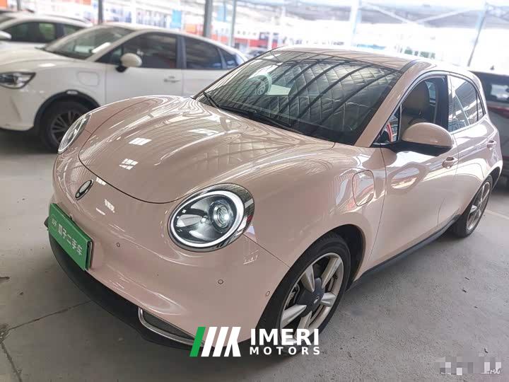 ORA Good Cat 400km Standard Range Luxury Ternary Lithium