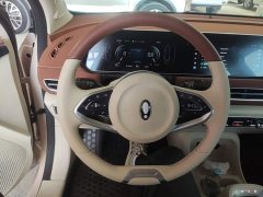ORA Good Cat 2022 400km Standard Range Luxury Ternary Lithium - ფოტო 11