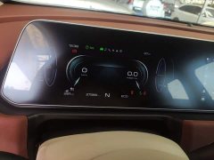 ORA Good Cat 2022 400km Standard Range Luxury Ternary Lithium - ფოტო 12