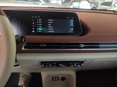 ORA Good Cat 2022 400km Standard Range Luxury Ternary Lithium - ფოტო 13