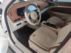 ORA Good Cat 2022 400km Standard Range Luxury Ternary Lithium - ფოტო 15