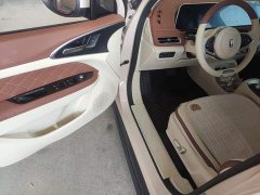 ORA Good Cat 2022 400km Standard Range Luxury Ternary Lithium - ფოტო 16
