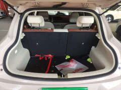 ORA Good Cat 2022 400km Standard Range Luxury Ternary Lithium - ფოტო 19