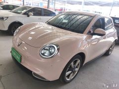 ORA Good Cat 2022 400km Standard Range Luxury Ternary Lithium - ფოტო 2