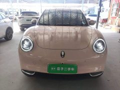 ORA Good Cat 2022 400km Standard Range Luxury Ternary Lithium - ფოტო 3