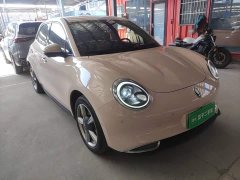 ORA Good Cat 2022 400km Standard Range Luxury Ternary Lithium - ფოტო 4