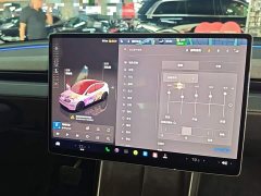 Tesla Model Y Rear-Wheel Drive - ფოტო 13