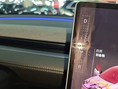 Tesla Model Y Rear-Wheel Drive - ფოტო 14