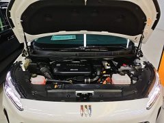 Buick GL8 New Energy Luushang Advance Edition - ფოტო 20